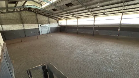 321 Zasm Street, Waltloo